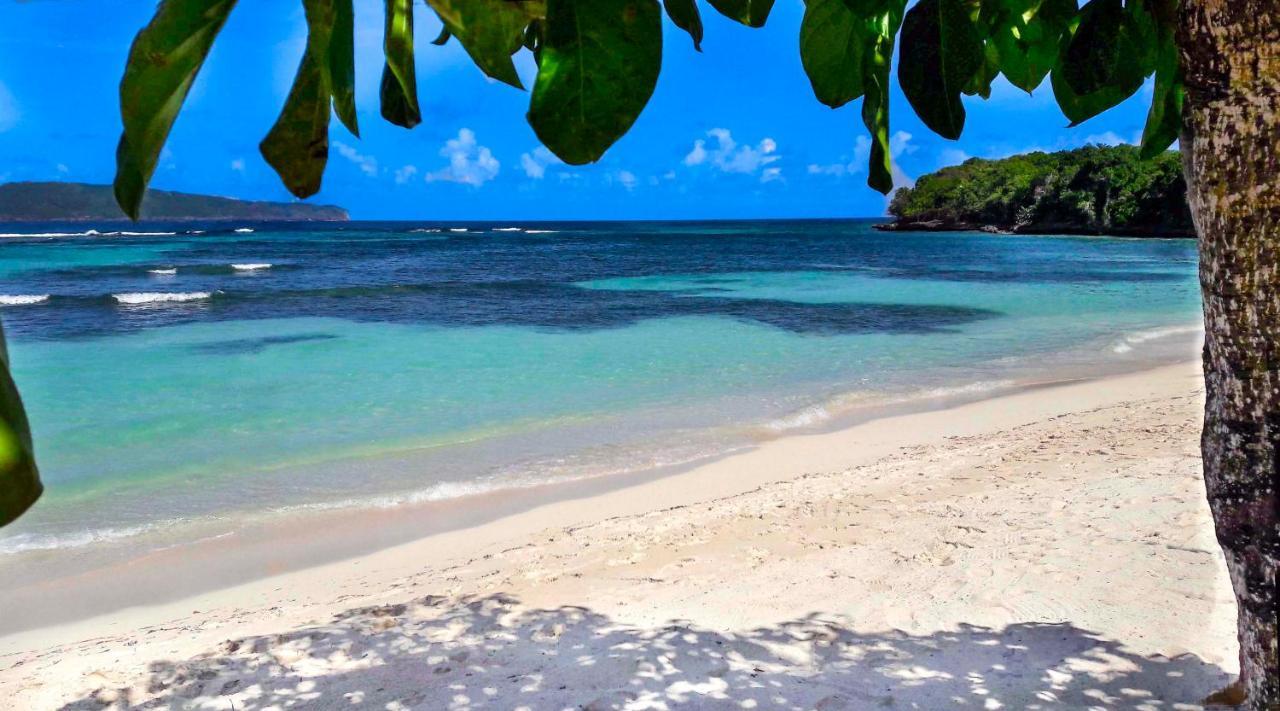 Apartamento Jasmine La Playita - Ocean Front Las Galeras Exterior foto